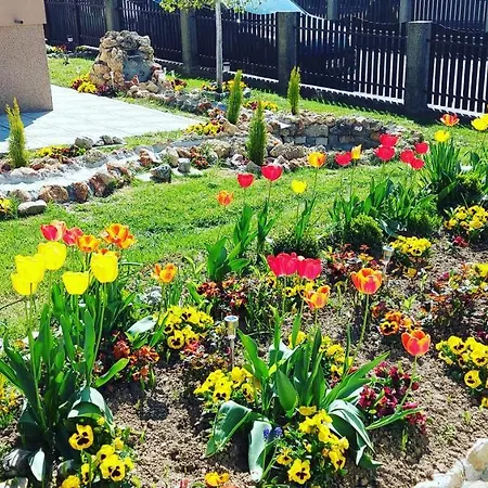 President 034 Deluxe