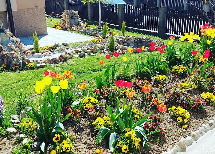 President 034 Deluxe